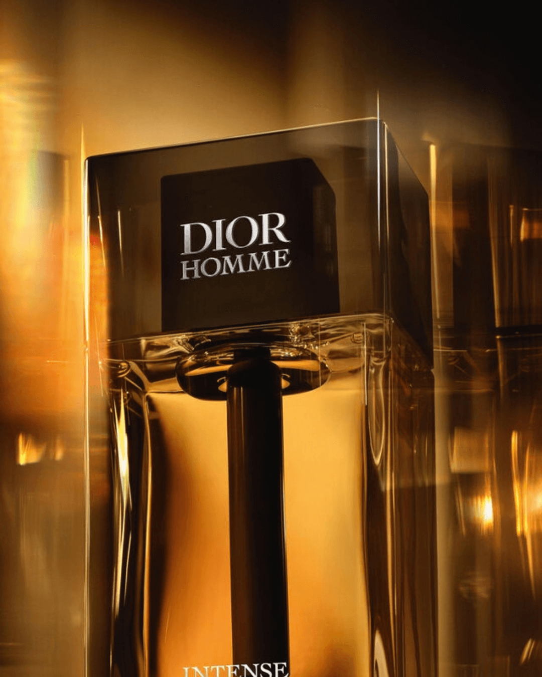 Dior Homme Intense Eau de Parfum 3